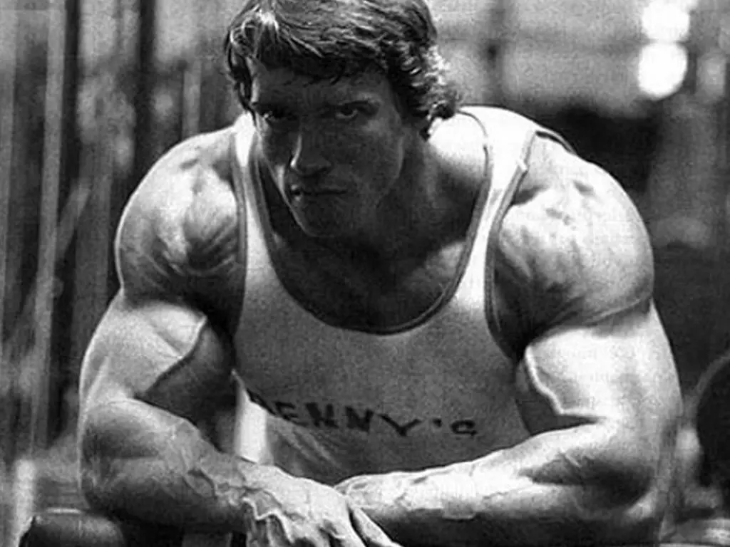 Even if you do not know whatsoever of the sport of bodybuilding, there is an excellent possibility that you are familiar with Arnold Schwarzenegger.