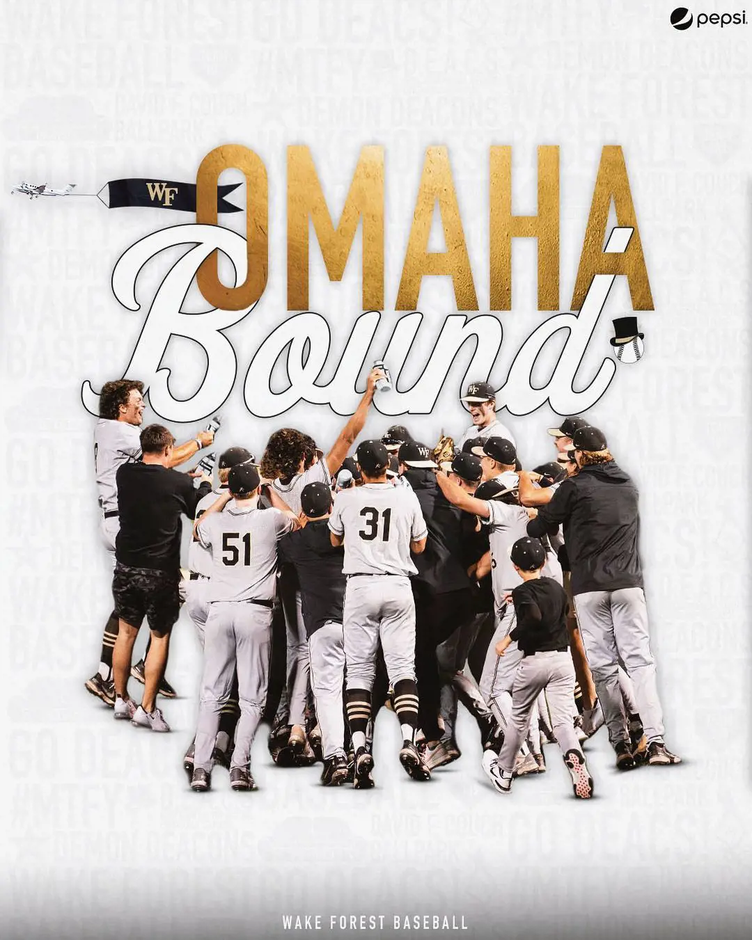 Wake Forest baseball team celebrates after making their way to Omaha.