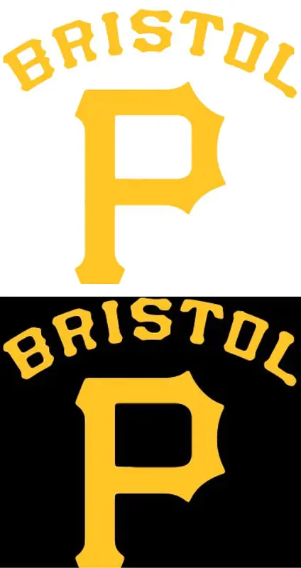 Bristol Pirates Team logo