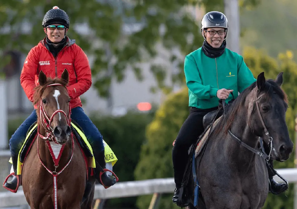 Japanese horses Derma Sotogake and Continuar will compete this Saturday.