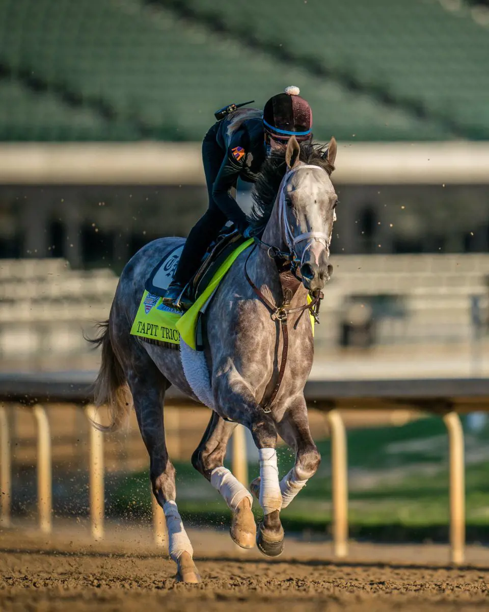 Kentucky Contender Tapit Trice is drawn in fifth post position.