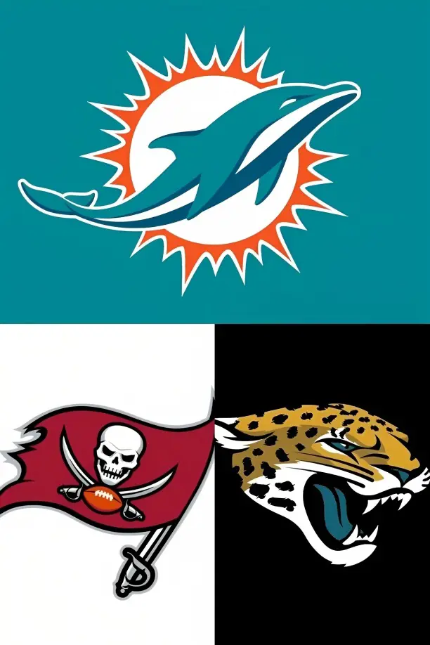 Florida NFL football teams logo. 