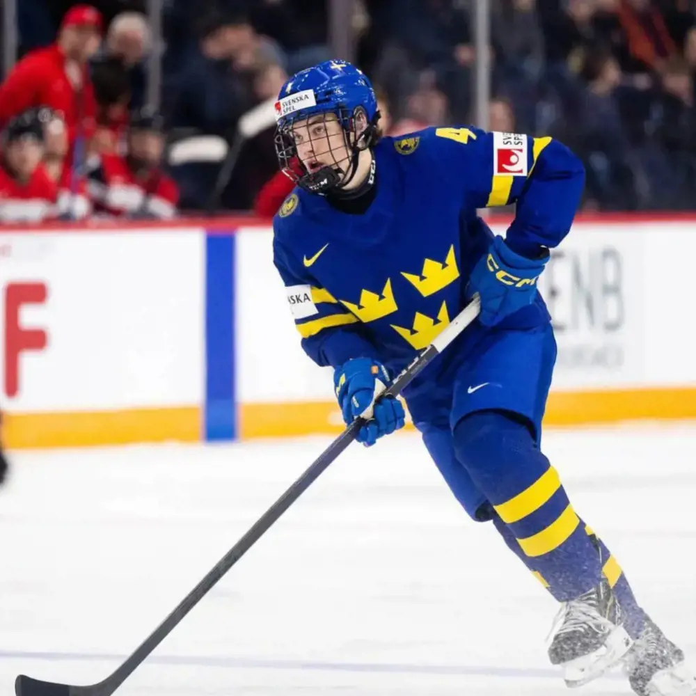 Pellikka while playing for Skelleftea AIK in the Swedish Hockey League.