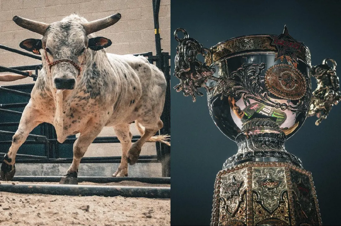 The 2023 PBR championship final round will be held on May 21, 2023