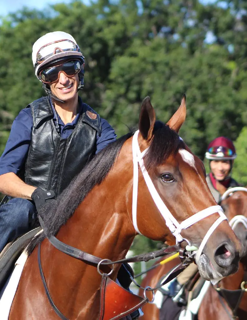 Johnny Velazquez at NYRA in Elmont, New York on June 4, 2017