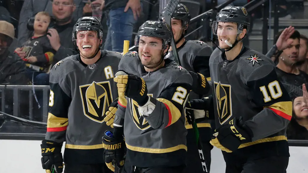 The Vegas Golden Knights NHL team members.