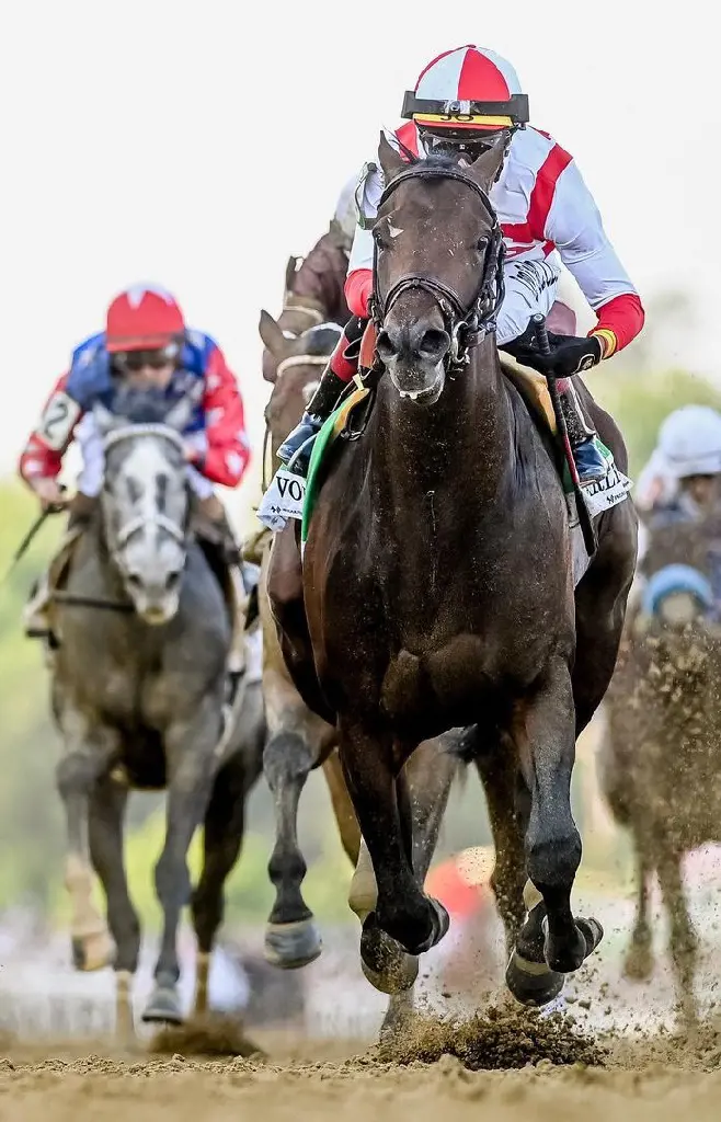 Jose Ortiz won his first career Preakness Stakes in May 2022