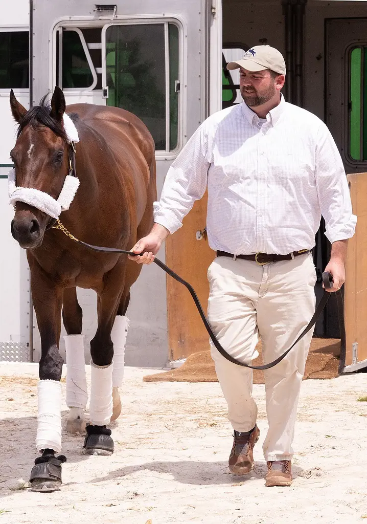 Horses are all set to race at 2023 Preakness Race at Pimlico Race Course